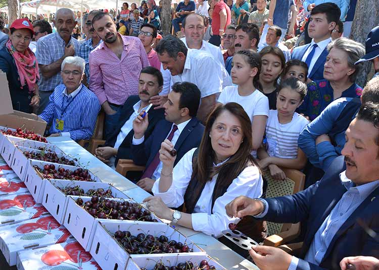 Mihalıççık Kaymakamlığı ile Mihalıççık Belediyesi işbirliğiyle "Mihalıççık Kiraz Festivali"nin bu yıl 38'incisi düzenlendi.