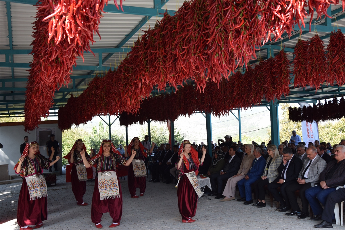 Bilecik İl Tarım ve Orman Müdürlüğü ile Çukurören Muhtarlığı işbirliğinde "Çukurören Biberi Tanıtım Şenliği" gerçekleştirildi.