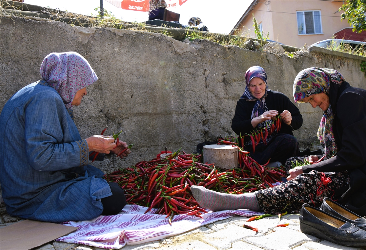 Üreticinin bahçesinde, duvar ve balkonlarında kuruttuğu biberin sanayi ve ticaret ürünü olduğunu anlatan Yoldaş, "Tarım ve Orman Bakanlığı olarak hem desteklemeler sağladık hem de iyi tarım kapsamında insan sağlığını bozan etkenlerden arındırdık." dedi.  Muhtar Muhittin Dündar ise biberin ata tohumu olmasından dolayı genetiğini değiştirmeden ürettiklerini söyledi.