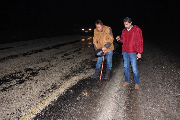 Kurbağaların yoldan geçişlerinde araçlar tarafından ezilmesi sonucu telef olmasına üzüldüklerini ve bu konuda Karayollarına başvuracaklarını vurgulayan Ertürk, "Çözüm olarak Karayolları Genel Müdürlüğünün kurbağaların geçiş noktası olan yerlerde tünel şeklinde alt geçitler yapması, bu canlıların telef olmalarını önleyecektir diye düşünüyoruz." diye konuştu.