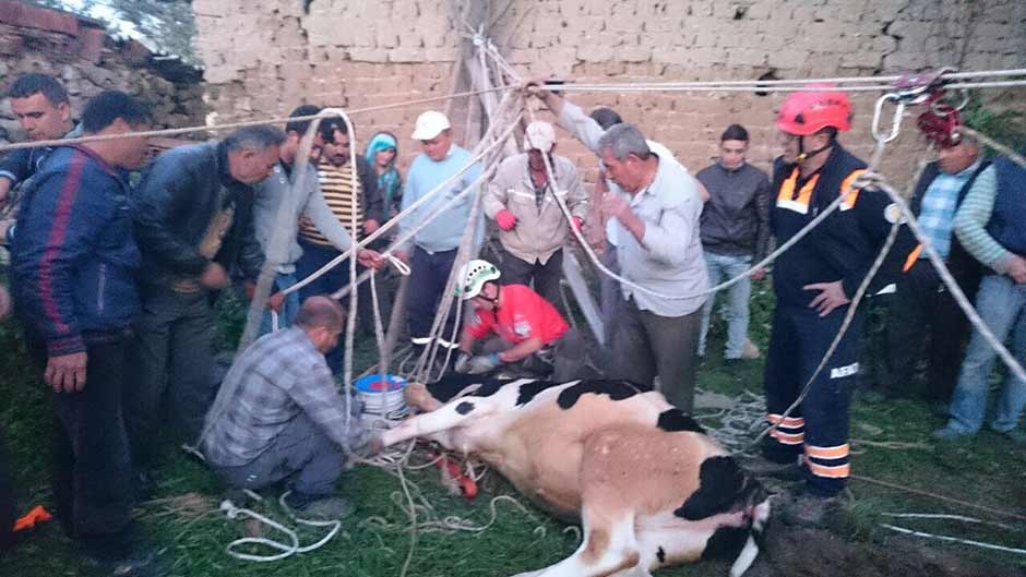 Arama Kurtarma Derneği (AKUT) Eskişehir gönüllüleri ve Afet ve Acil Durum (AFAD) Eskişehir ekibi, Sivrihisar’da su kuyusuna düşen inek için seferber oldu. 