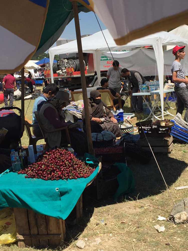 Kentimizde etkili bir lobiye sahip olan Mihalıççıklılar, kendi festivallerinde bir araya gelemedi. Bu yıl 38’nci düzenlenen Mihalıççıklılar Günü ve Kiraz Festivali’ne MİYAD’ın katılmaması dikkat çekti.