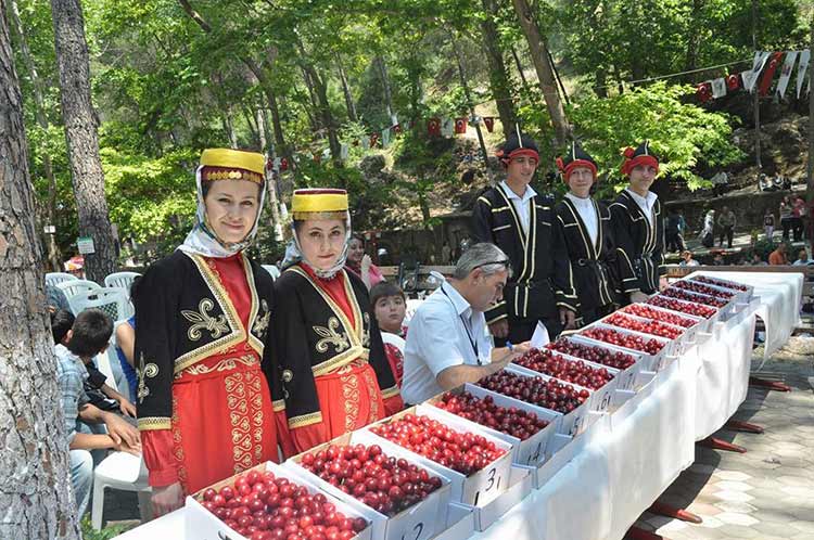 Kentimizde etkili bir lobiye sahip olan Mihalıççıklılar, kendi festivallerinde bir araya gelemedi. Bu yıl 38’nci düzenlenen Mihalıççıklılar Günü ve Kiraz Festivali’ne MİYAD’ın katılmaması dikkat çekti.