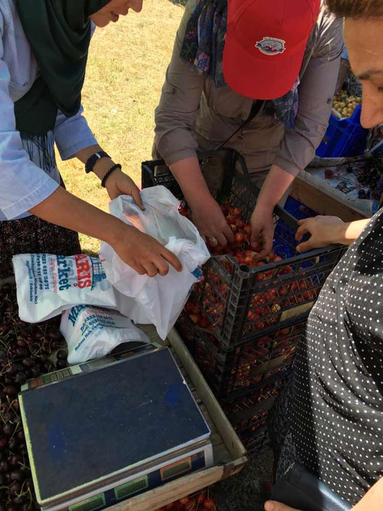 Kentimizde etkili bir lobiye sahip olan Mihalıççıklılar, kendi festivallerinde bir araya gelemedi. Bu yıl 38’nci düzenlenen Mihalıççıklılar Günü ve Kiraz Festivali’ne MİYAD’ın katılmaması dikkat çekti.