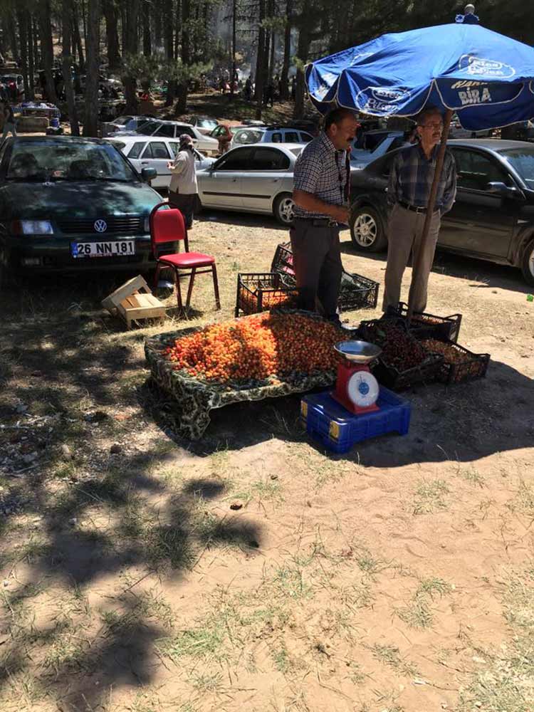 Kentimizde etkili bir lobiye sahip olan Mihalıççıklılar, kendi festivallerinde bir araya gelemedi. Bu yıl 38’nci düzenlenen Mihalıççıklılar Günü ve Kiraz Festivali’ne MİYAD’ın katılmaması dikkat çekti.