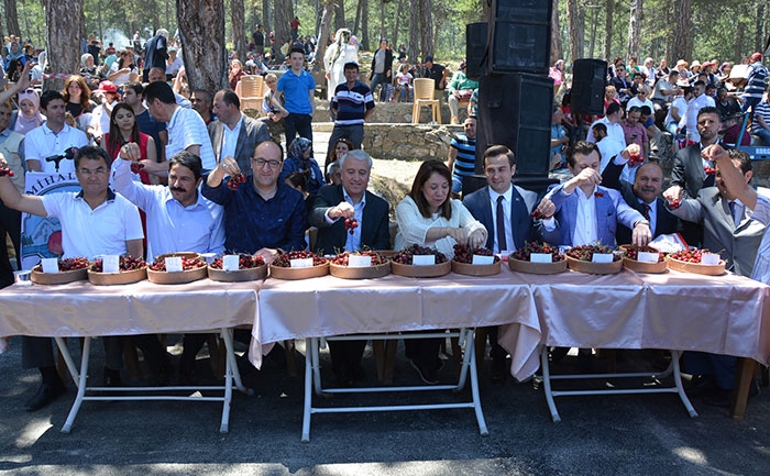 Mihalıççık ilçesinde bu yıl 39'uncusu düzenlenen kiraz festivali renkli görüntülere sahne oldu. 