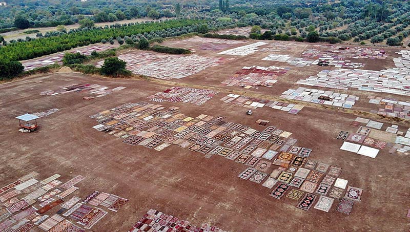 Antalya’da Türkiye’nin dört bir yanından toplanan 20 bine yakın el dokuması halı ve kilim, restore edilip mikroplardan arındırılmak üzere tarlalara seriliyor. 