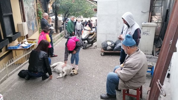 Köpeğin sağlıklı olduğuna kanaat getiren kadınlar, bir süre sonra köpeğin yanından ayrıldı. Sevimli köpek ise bir müddet daha yattıktan sonra gözden kayboldu.