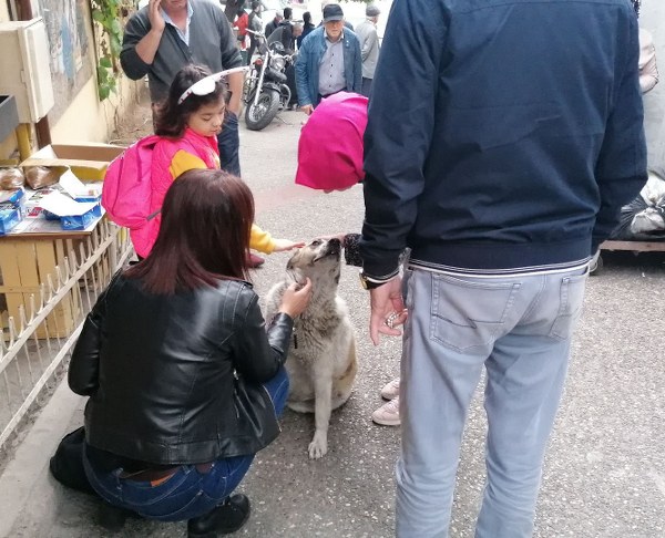 İşportacı, köpeği seven kadınlara, "Ona kasaptan 1 kilo kıyma alın sevinir" deyince herkes gülüştü. 