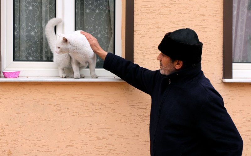 Otomobil çarpması sonucu bir sokak hayvanının vücudunda önemli yaralar oluştuğunu vurgulayan Işık, şunları kaydetti: