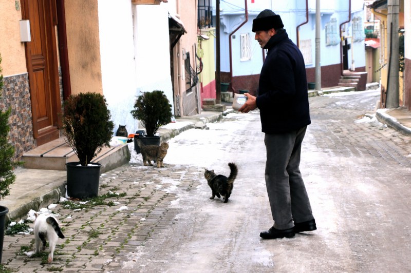 "Kentlerde hayvanları yaşam alanlarını daralttık. Kentler betonla doldu. Toprak kalmadı, yeşil alanlar yok. Mevcut yeşil alan insanlara yetmiyor ki hayvanlara kalsın. Hayvanlara sahip çıkmazsak, insanlığa da sahip çıkamayız. Sahiplenme duygumuz tüm canlılara karşı olmalıdır. Toplum bu konuda daha duyarlı olmalıdır. İnsanlar sokak hayvanlarını sadece sevip gidiyor. 