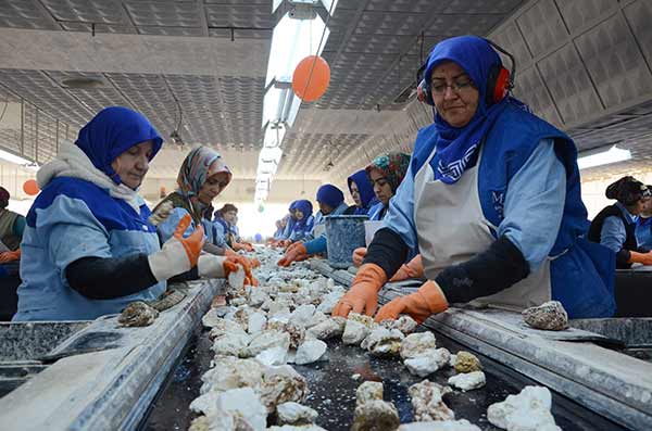 ONLAR MADENCİ KADINLAR