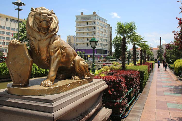 Eskişehir Büyükşehir Belediyesi tarafından 19 yıldır yaz aylarında Porsuk Çayı kenarına göç eden palmiyeler, havaların ısınmasıyla birlikte Köprübaşı'ndaki yerlerini aldılar.