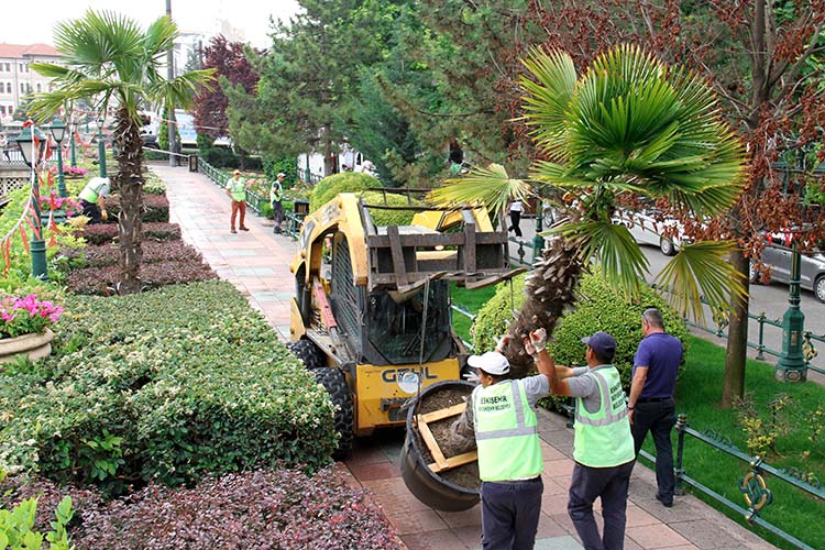 Eskişehir Büyükşehir Belediyesi tarafından 19 yıldır yaz aylarında Porsuk Çayı kenarına göç eden palmiyeler, havaların ısınmasıyla birlikte Köprübaşı'ndaki yerlerini aldılar.