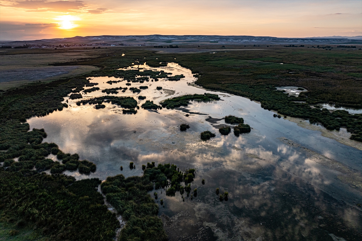 Eskişehir'in gizli bir köşesinde, doğanın kalbinde saklı bir cennet var. Sakarya Nehri'nin eseri olan küçük göletler, sazlıklar ve sulak çayırlıklarla bezenmiş bu eşsiz coğrafya, binlerce canlıya ev sahipliği yapıyor. Keşfetmeye hazır mısınız?