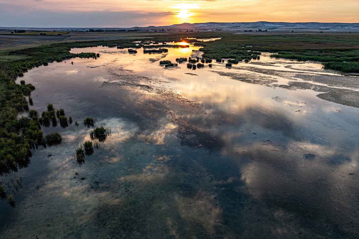 Eskişehir'in gizli bir köşesinde, doğanın kalbinde saklı bir cennet var. Sakarya Nehri'nin eseri olan küçük göletler, sazlıklar ve sulak çayırlıklarla bezenmiş bu eşsiz coğrafya, binlerce canlıya ev sahipliği yapıyor. Keşfetmeye hazır mısınız?