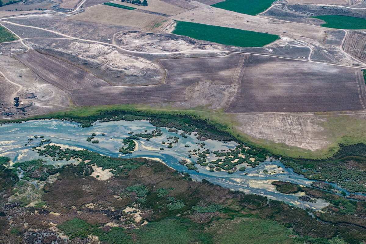 Eskişehir'in gizli bir köşesinde, doğanın kalbinde saklı bir cennet var. Sakarya Nehri'nin eseri olan küçük göletler, sazlıklar ve sulak çayırlıklarla bezenmiş bu eşsiz coğrafya, binlerce canlıya ev sahipliği yapıyor. Keşfetmeye hazır mısınız?