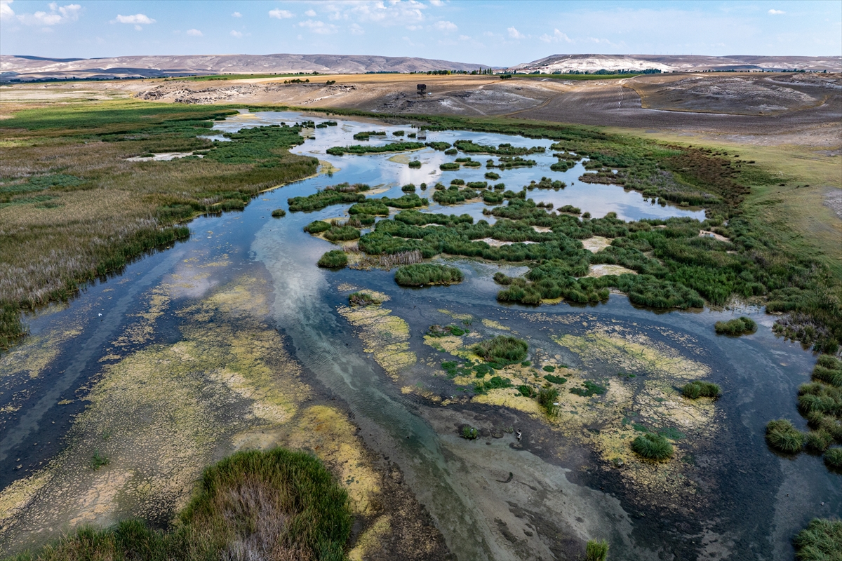 Eskişehir'in gizli bir köşesinde, doğanın kalbinde saklı bir cennet var. Sakarya Nehri'nin eseri olan küçük göletler, sazlıklar ve sulak çayırlıklarla bezenmiş bu eşsiz coğrafya, binlerce canlıya ev sahipliği yapıyor. Keşfetmeye hazır mısınız?