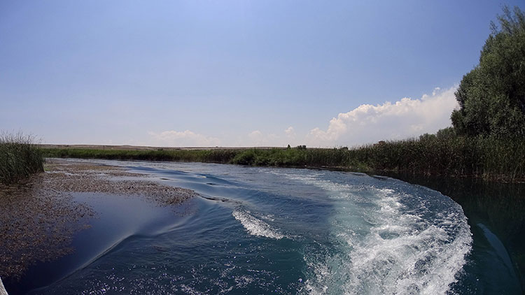 Yapılacak projeler ile Sakarya Nehri'nin doğduğu topraklar yeniden değerlenecek. Eskişehir'in Çifteler ilçesinden doğan Sakarya Nehri, turizmin adeta göz bebeği haline gelecek. Yıllardır nehri hareketlendirmek için sunulan projelerde artık sonuçlar alınmaya başlarken, sandallarla ve teknelerle nehri üzerinde gezinti yapılabilecek. Bunun yanında ahşaptan oteller, alışveriş merkezleri ve lokantalar suyun üzerine kurulacakken, bu yapılara tekne aracılığıyla ulaşım sağlanacak. Konuyla ilgili açıklamalarda bulunan Çifteler Belediye Başkanı Metin Özen, Venedik'i Eskişehir'e uyarlayacaklarından söz etti. 