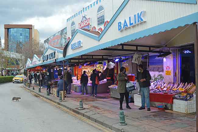 Eskişehir Çarşı Balık Pazarında bulunan diğer bir balıkçı Muharrem Şahin ise şunları söyledi: “Şimdi tezgâhlarımızı ikiye böldük. Bundan sonra balığın yanında meyvede satacağız. Nisandan eylüle kadar meyve satarız. Erik, kiraz, çilek, karpuz, kavun, domates ve biber gibi balığımızın yanında bu ürünleri satarız. Bunun yanı sıra tatlı su balıklarımız ve deniz balıklarımız da gelir. Balığa da bir yandan devam ederiz.