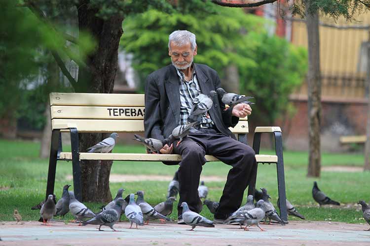 Ramazan ayının en sıcak gününün yaşandığı Eskişehir’de 32 dereceyi gören hava sıcaklığı vatandaşların park ve bahçelere akın etmesine sebep oldu. 