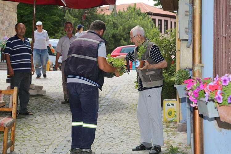 Odunpazarı Belediyesi, gerçekleştirdiği park, bahçe ve peyzaj çalışmalarıyla, ilçeyi adeta çiçek bahçesine dönüştürdü.