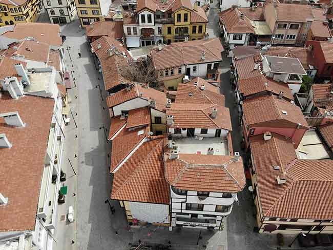 Boş kalan caddeler sokak hayvanlarına ev sahipliği yaptı. 