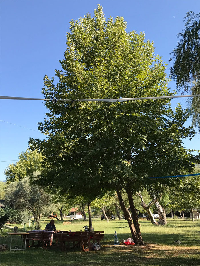 Yakın Yerler’in son durağı turizmden ekmek yemeye başlayan Sarıcakaya oldu. Her gittiğimde beni şaşırtan ilçede yine şaşırtıcı ve keyifli bir gün geçirdim. Cihan Yıldırım / YAKIN YERLER