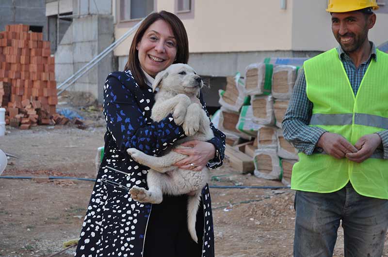 Kültür ve Turizm Bakanı Prof. Dr. Nabi Avcı’nın Beylikova ilçesi ziyaretine eşlik eden AK Parti Eskişehir Milletvekili Prof. Dr. Emine Nur Günay, yurt inşaatında görüp kucağına aldığı Golden cinsi ‘Fıstık’ isimli yavru köpeği dakikalarca sevdi. 