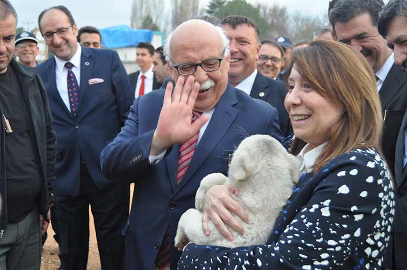 Kültür ve Turizm Bakanı Prof. Dr. Nabi Avcı’nın Beylikova ilçesi ziyaretine eşlik eden AK Parti Eskişehir Milletvekili Prof. Dr. Emine Nur Günay, yurt inşaatında görüp kucağına aldığı Golden cinsi ‘Fıstık’ isimli yavru köpeği dakikalarca sevdi. 