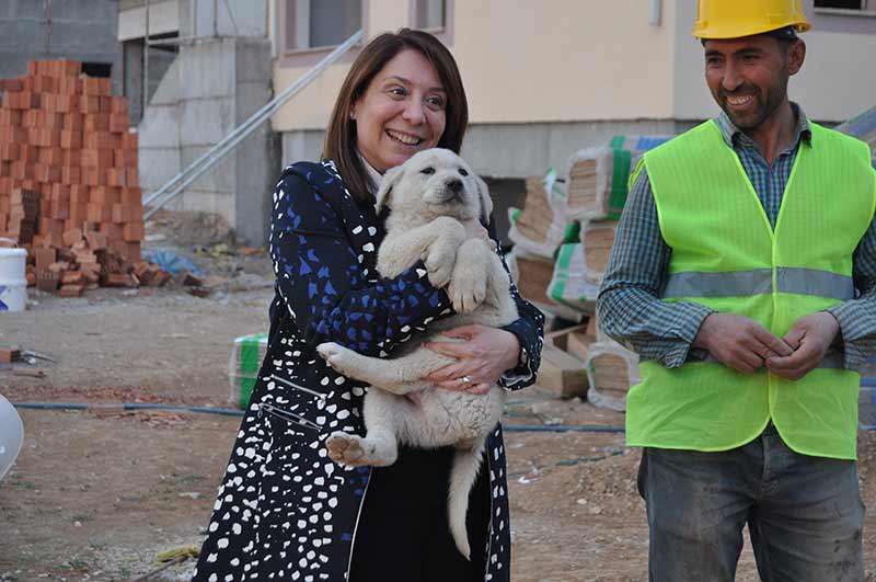 Kültür ve Turizm Bakanı Prof. Dr. Nabi Avcı’nın Beylikova ilçesi ziyaretine eşlik eden AK Parti Eskişehir Milletvekili Prof. Dr. Emine Nur Günay, yurt inşaatında görüp kucağına aldığı Golden cinsi ‘Fıstık’ isimli yavru köpeği dakikalarca sevdi. 