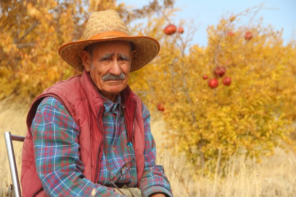 Eskişehir'den ayrılarak 14 yıl önce yerleştiği adaya diktiği 3 bin 500 fidan ile renk veren 80 yaşındaki Ziya Abay, bin 700 TL'lik emekli maaşı ile almayı düşündüğü fidanlar için yer hazırlıyor