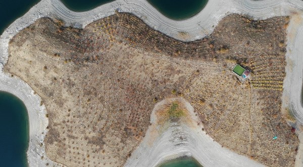 Eskişehir'den ayrılarak 14 yıl önce yerleştiği adaya diktiği 3 bin 500 fidan ile renk veren 80 yaşındaki Ziya Abay, bin 700 TL'lik emekli maaşı ile almayı düşündüğü fidanlar için yer hazırlıyor