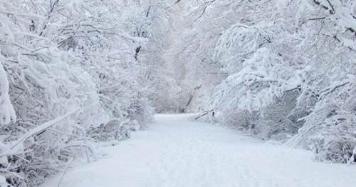 24 Kasım Pazar Bolu'da hava durumu