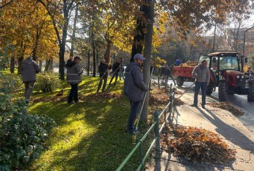 Anadolu Üniversitesi kampüsünde sonbahar temizliği yapıldı