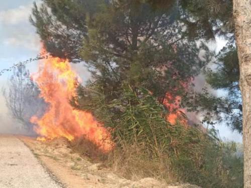 Antakya’da orman yangını büyümeden söndürüldü