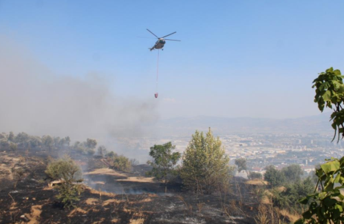 Aydın'da çıkan yangın üniversite kampüs alanına doğru ilerliyor
