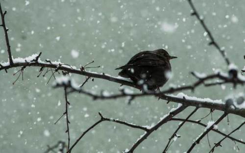 Bolu'da hava durumu nasıl olacak? (26 Kasım 2024)