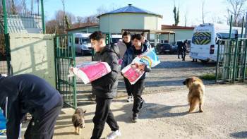 Düzce’de öğrenciler sokak hayvanları için bağış yaptı