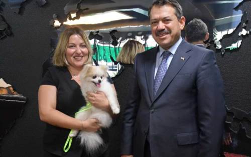 Eskişehir'de eziyet gören köpeğin artık yeni yuvası var!