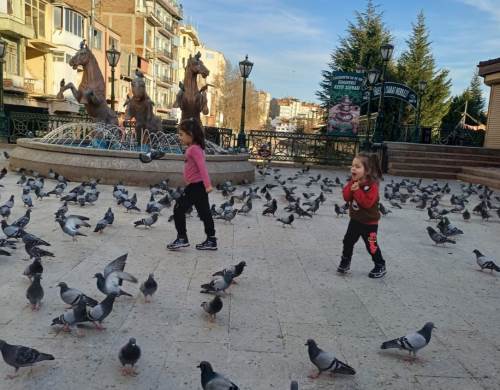 Eskişehir'de güvercin besleme alanı görsel şölen sunuyor