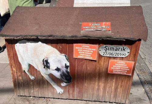 Eskişehir'de köpek kulübesindeki dikkat çekici yazı!