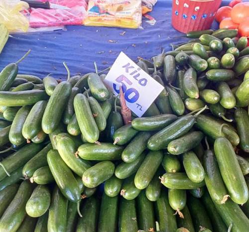 Eskişehir'de salatalığın fiyatı fırladı!