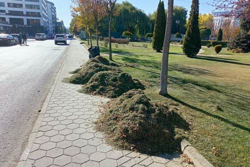 Eskişehir'deki kaldırıma bırakılan çimler geçişi zorladı