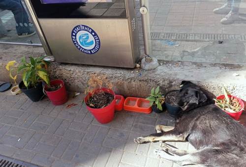 Eskişehir'deki tramvay durağına renk kattılar