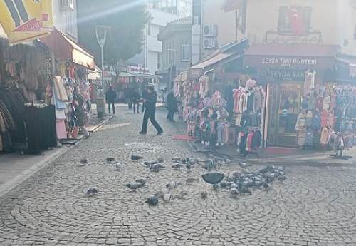 Eskişehir merkezindeki kuş yemleri kirliliğe neden oldu