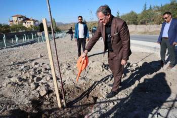 Hacılar, Yeni Ağaçlandırma Projeleri ile Daha Yeşil Oluyor