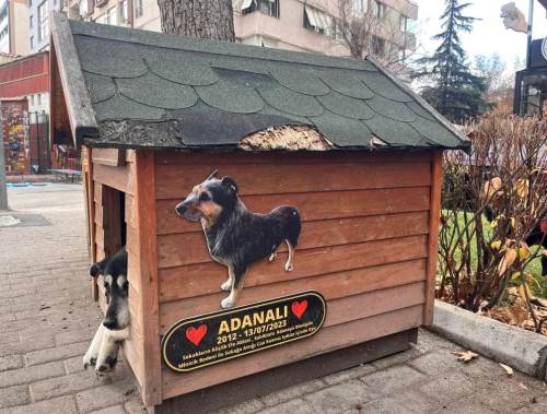 Köpek kulübesine yazılan yazı duygusal anlar yaşattı