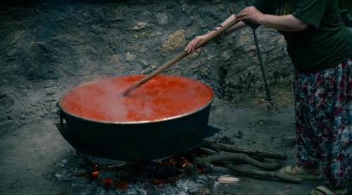 Küflü Salça Güvenli mi? Avustralyalı Uzman Yıllardır Yanlış Bildiğimiz Gerçeği Açıklıyor