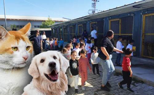 Odunpazarı Belediyesi'nden anlamlı çağrı: Satın almayın...